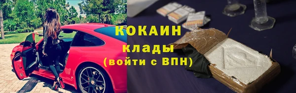 ешки Бикин