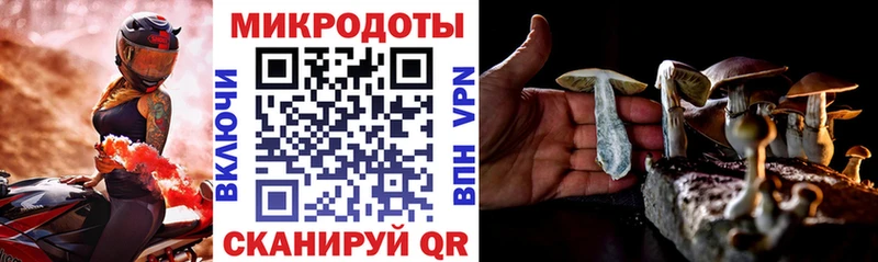 наркошоп  Всеволожск  нарко площадка клад  Галлюциногенные грибы Psilocybine cubensis 
