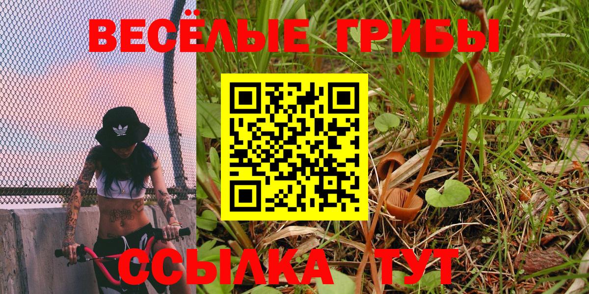 Псилоцибиновые грибы GOLDEN TEACHER  Псилоцибиновые грибы Psilocybine cubensis  Вход с VPN  Всеволожск 